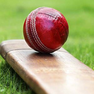 Cricket